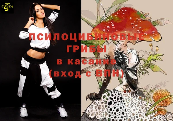 шишки Балахна