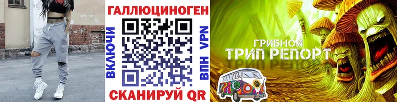 Галлюциногенные грибы GOLDEN TEACHER  Сегежа 